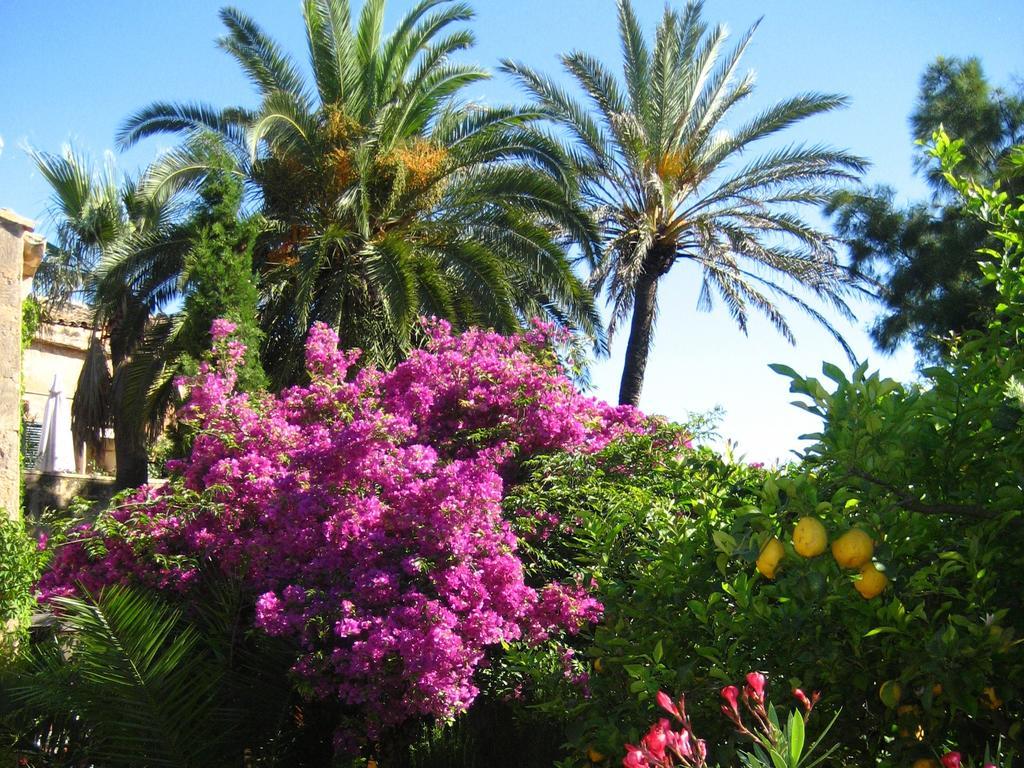 Finca Raims Algaida (Mallorca) Exterior foto