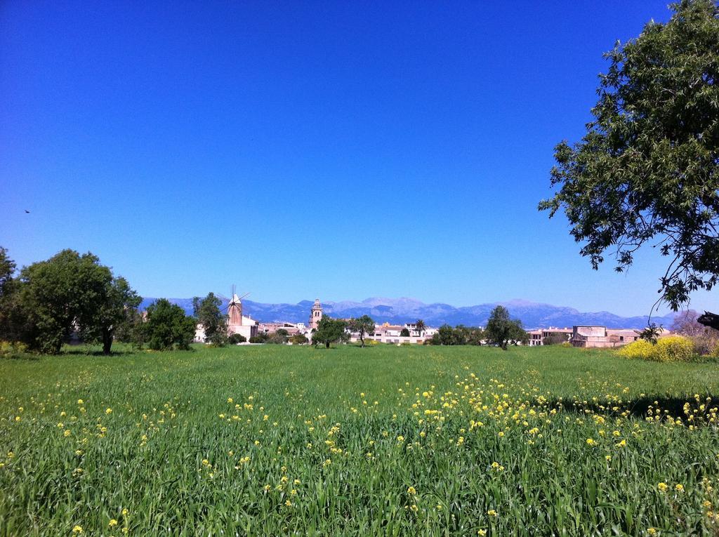 Finca Raims Algaida (Mallorca) Exterior foto