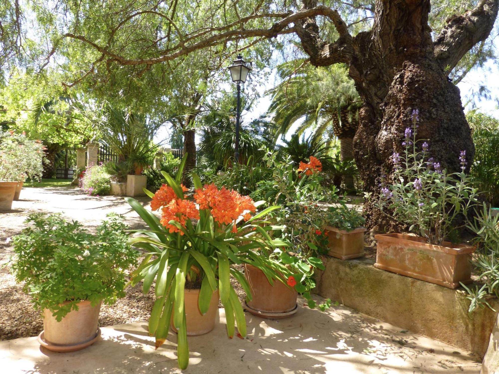 Finca Raims Algaida (Mallorca) Exterior foto